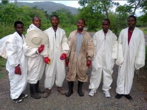 Improving Rural Life through Apiculture – Taaiz Beekeepers Association (betterplace.org)